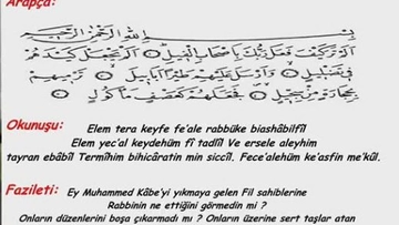 Fil Suresi Meali Okunuşu ve Anlamı Fil Suresi Meali Okunuşu ve Anlamı